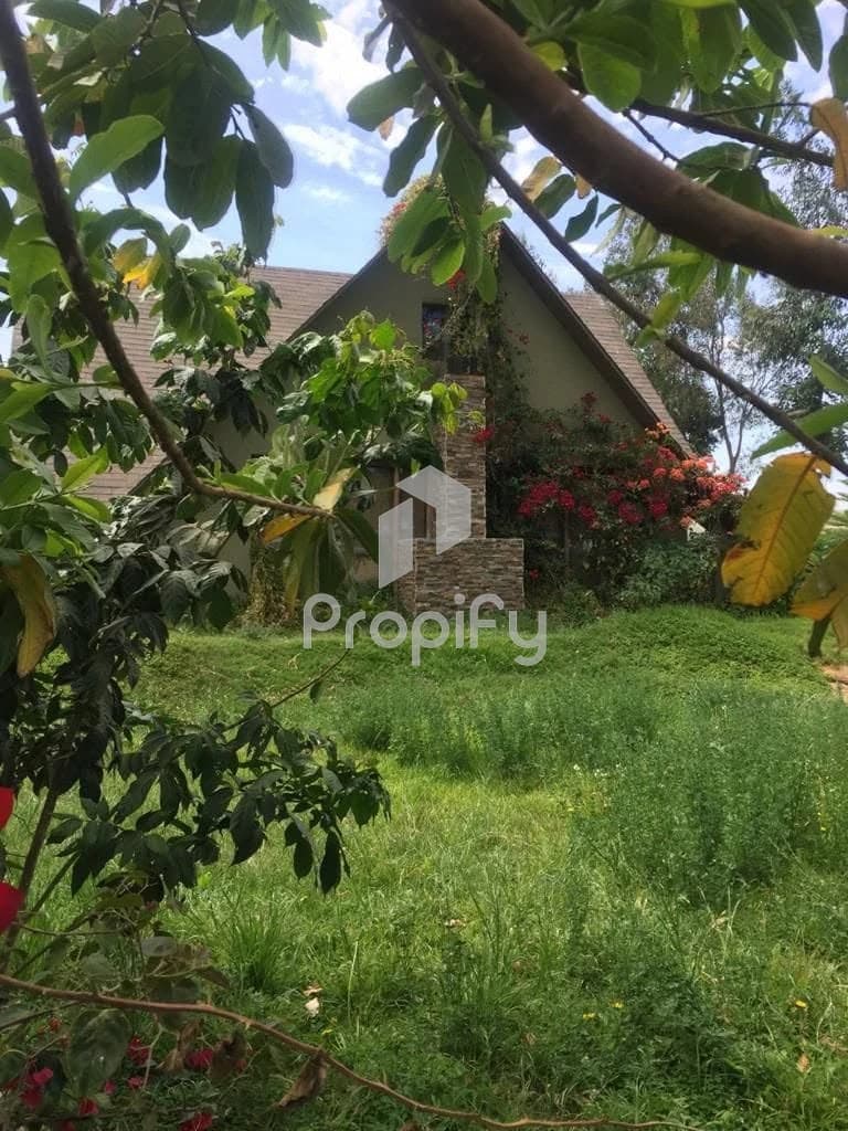 VENDO HERMOSA CASA DE CAMPO LA JOYA