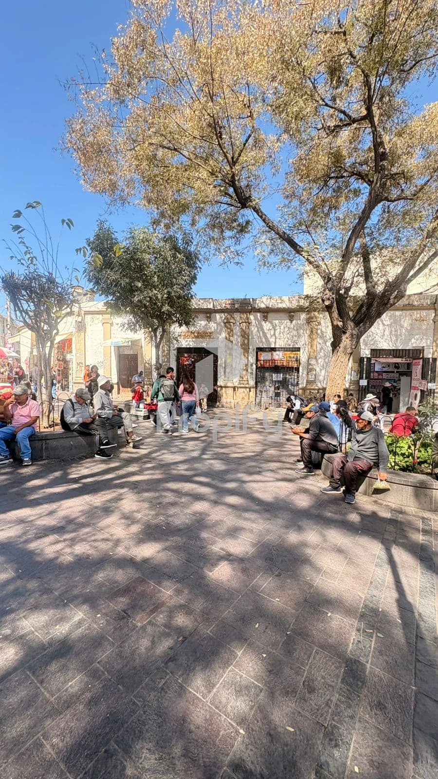 CASONA OCTAVIO MUÑOZ NAJAR